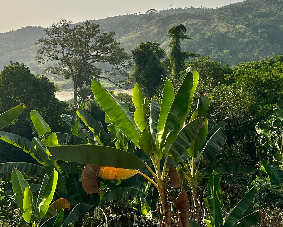 Sierra Leone